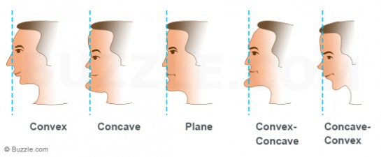 face-profile-types